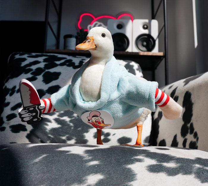 Duck dressed in a creative pet Halloween costume holding a toy knife, standing on a patterned black and white couch.