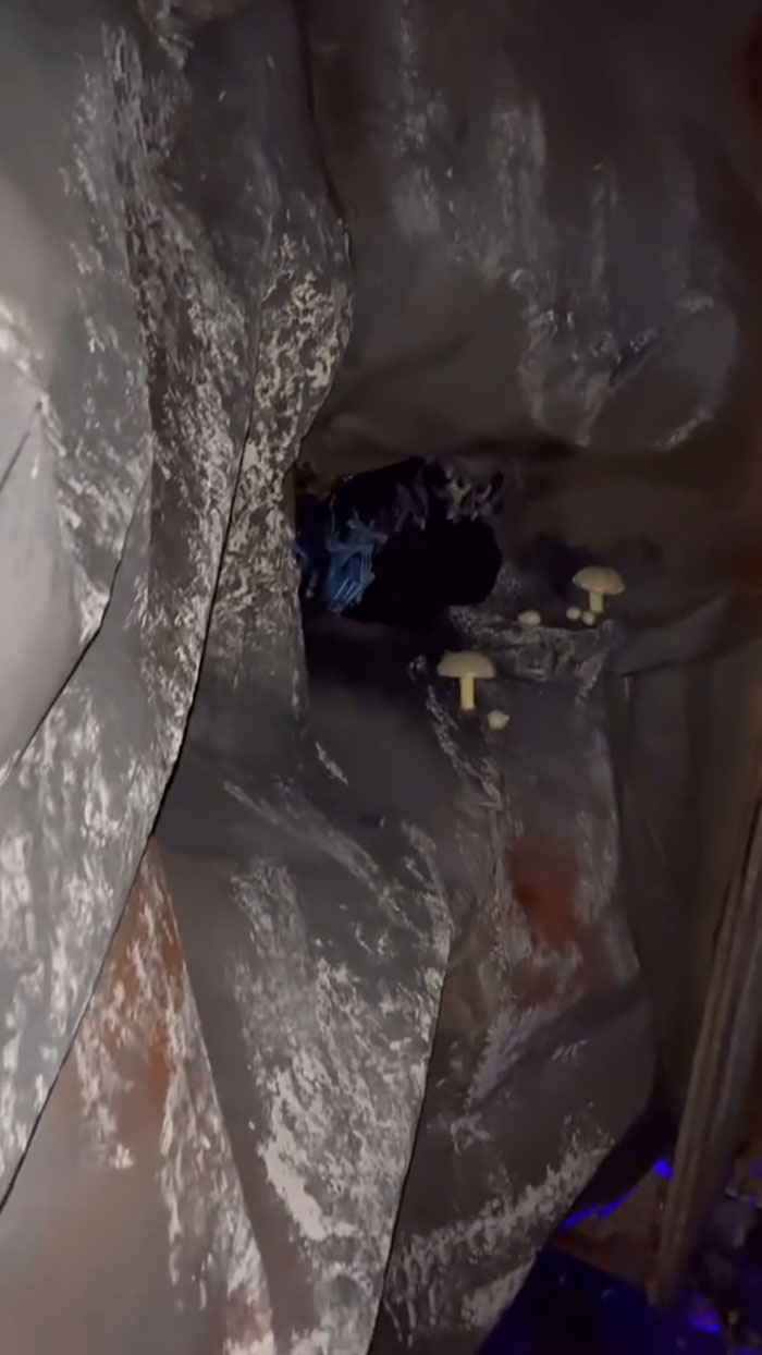 Architect Dad Builds Huge Halloween Installations Every Year, Goes Viral On TikTok