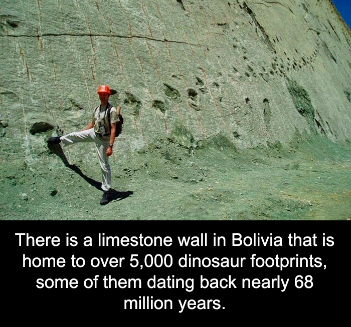 Man in an orange helmet standing by a limestone wall in Bolivia with over 5,000 dinosaur footprints visible.