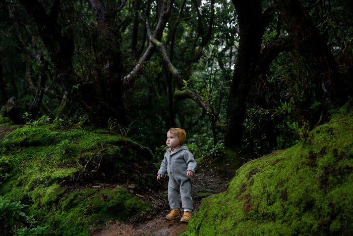 Toddler wearing a gray outfit and yellow hat exploring a mossy forest path reflecting the unspoken mom code theme.