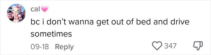 Woman Can&rsquo;t Understand Why People Order DoorDash Instead Of Just Driving, Gets A Reality Check