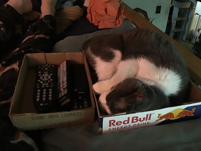 The Red Bull Didn't Do Its Job