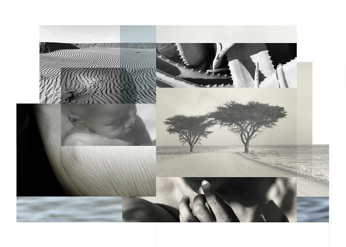 Reveries N°52 From The Series 'Reveries' By Emmanuelle Becker