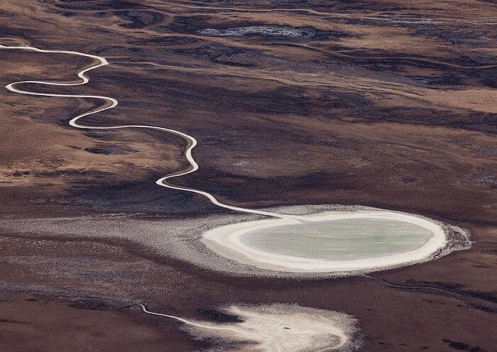 Sperm Formation By Don Jacobson