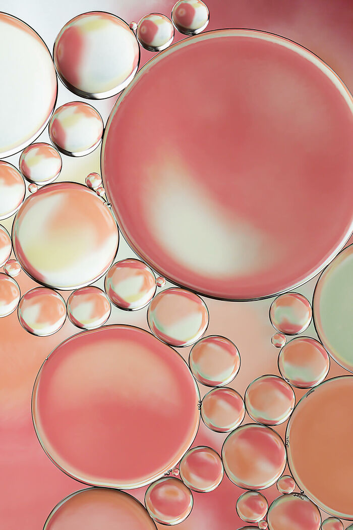 Blossoms 1 From The Series Studies In Oil And Water By Lisa Thomas