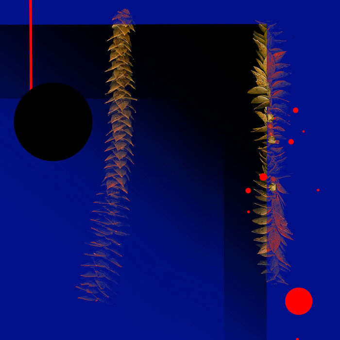 Joyce P. Lopez (USA)