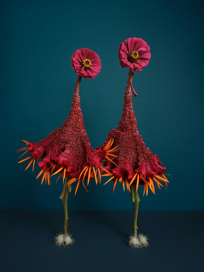 The Second-Place Winner: From Series "Unattainable Beauty" By Natalie Strohmaier (Germany)