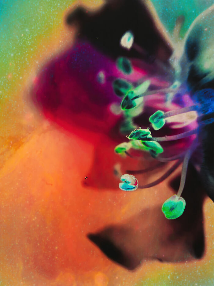 Melanie Schoeniger (Germany)