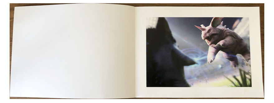 I Released An Unofficial Art-Book Containing Very Realistic Pok&eacute;mon, And Here's The Result