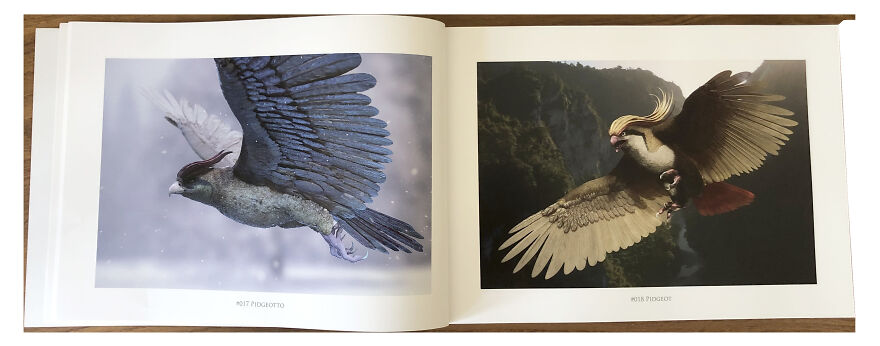 I Released An Unofficial Art-Book Containing Very Realistic Pok&eacute;mon, And Here's The Result