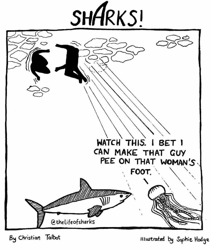 Artist Shows The Adventures Of Sharks And Their Interactions With Other Sea Creatures (New Pics)