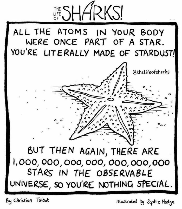 Artist Shows The Adventures Of Sharks And Their Interactions With Other Sea Creatures (New Pics)