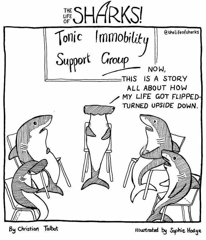 Artist Shows The Adventures Of Sharks And Their Interactions With Other Sea Creatures (New Pics)