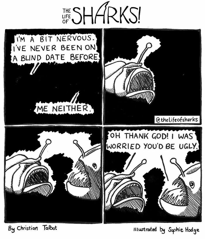 Artist Shows The Adventures Of Sharks And Their Interactions With Other Sea Creatures (New Pics)