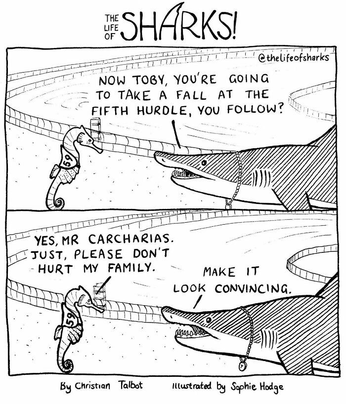 Artist Shows The Adventures Of Sharks And Their Interactions With Other Sea Creatures (New Pics)