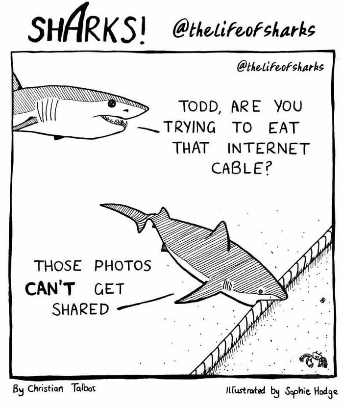 Artist Shows The Adventures Of Sharks And Their Interactions With Other Sea Creatures (New Pics)