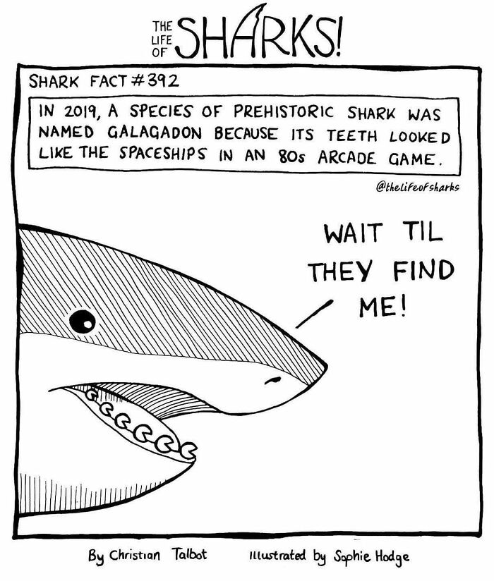 Artist Shows The Adventures Of Sharks And Their Interactions With Other Sea Creatures (New Pics)