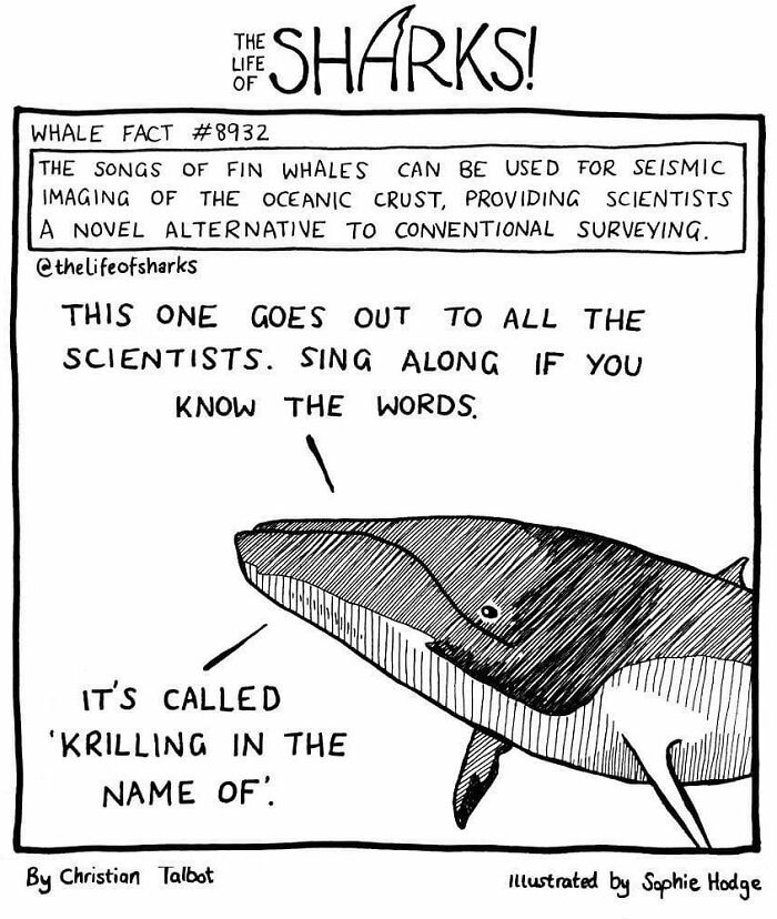 Artist Shows The Adventures Of Sharks And Their Interactions With Other Sea Creatures (New Pics)