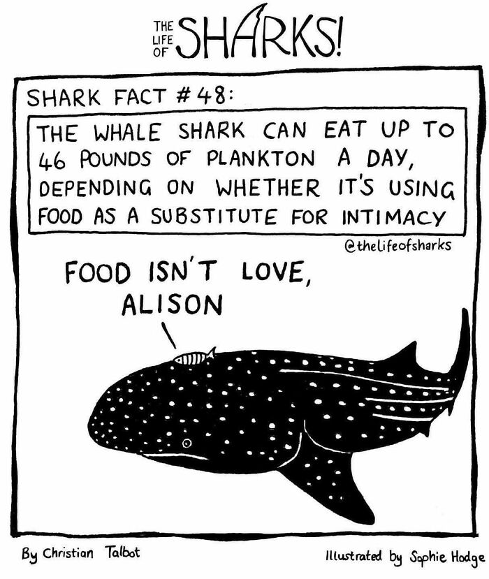 Artist Shows The Adventures Of Sharks And Their Interactions With Other Sea Creatures (New Pics)