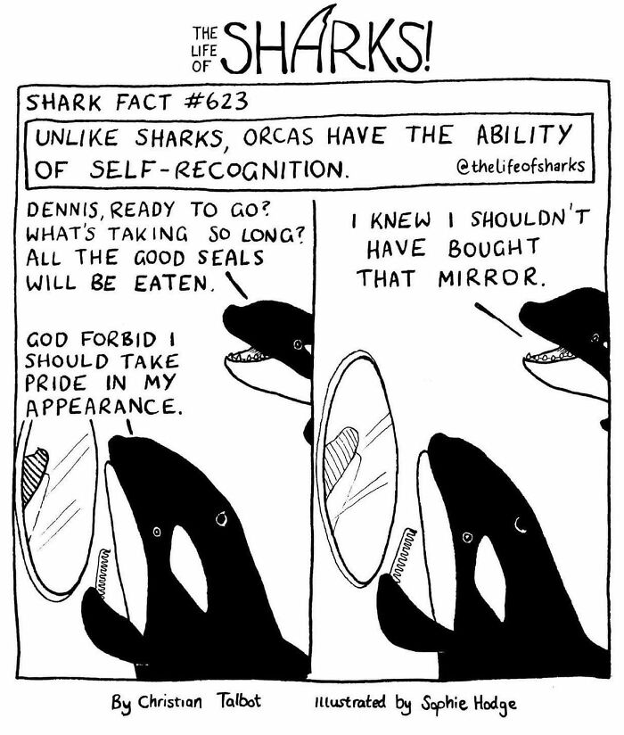 Artist Shows The Adventures Of Sharks And Their Interactions With Other Sea Creatures (New Pics)