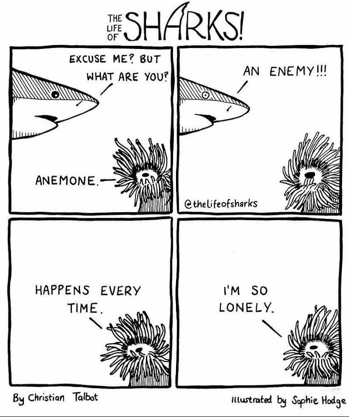 Artist Shows The Adventures Of Sharks And Their Interactions With Other Sea Creatures (New Pics)