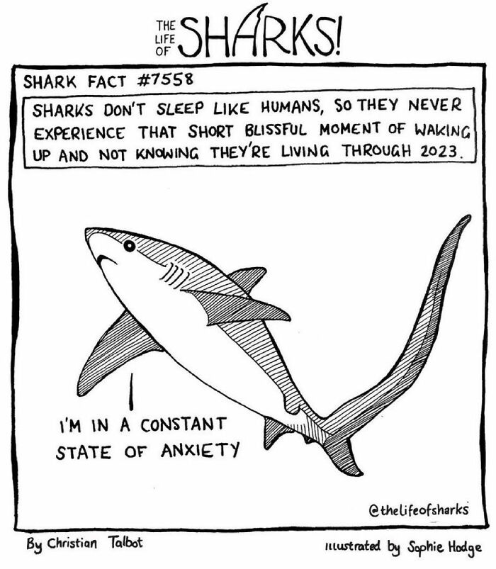 Artist Shows The Adventures Of Sharks And Their Interactions With Other Sea Creatures (New Pics)