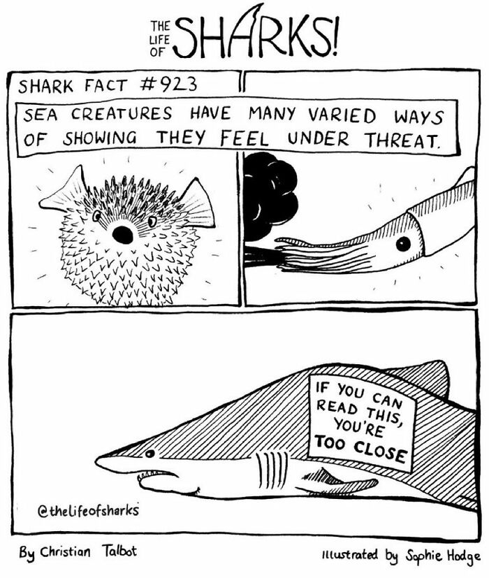 Artist Shows The Adventures Of Sharks And Their Interactions With Other Sea Creatures (New Pics)