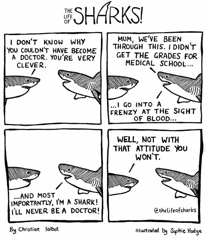 Artist Shows The Adventures Of Sharks And Their Interactions With Other Sea Creatures (New Pics)