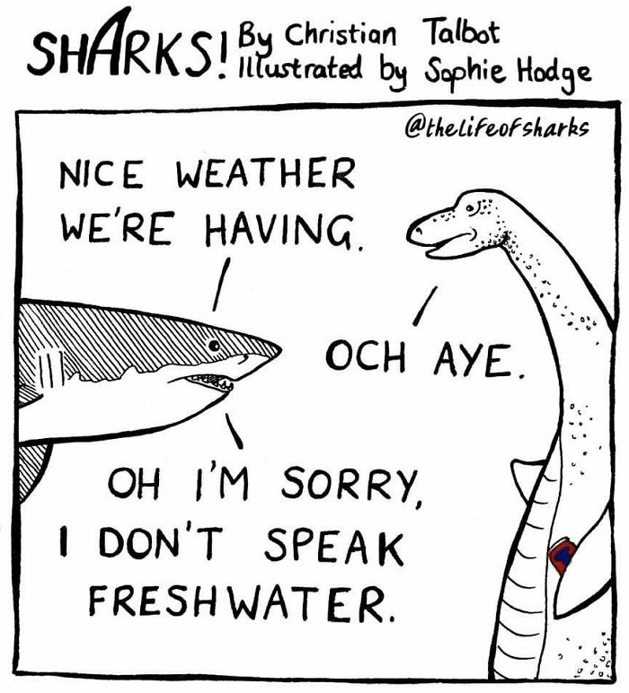 Artist Shows The Adventures Of Sharks And Their Interactions With Other Sea Creatures (New Pics)