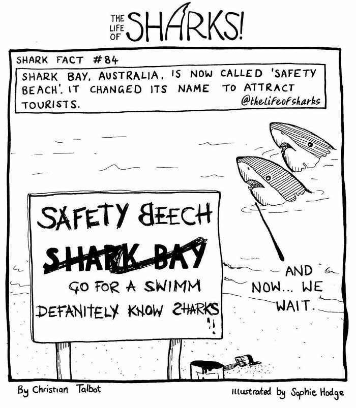 Artist Shows The Adventures Of Sharks And Their Interactions With Other Sea Creatures (New Pics)