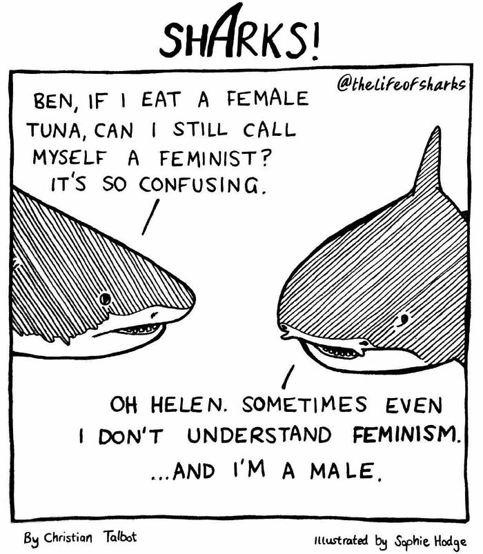 Artist Shows The Adventures Of Sharks And Their Interactions With Other Sea Creatures (New Pics)