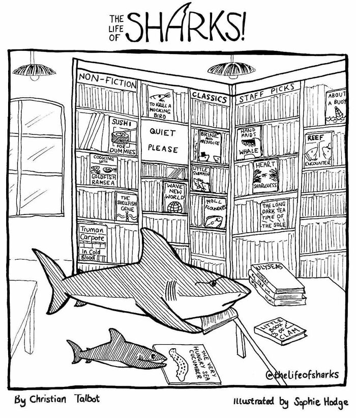 Artist Shows The Adventures Of Sharks And Their Interactions With Other Sea Creatures (New Pics)