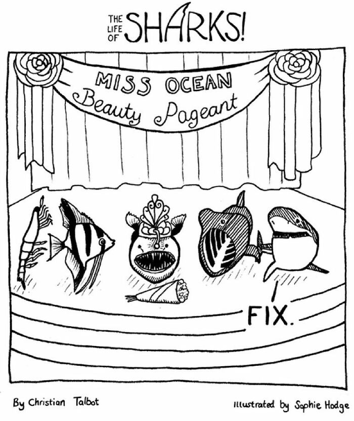 Artist Shows The Adventures Of Sharks And Their Interactions With Other Sea Creatures (New Pics)