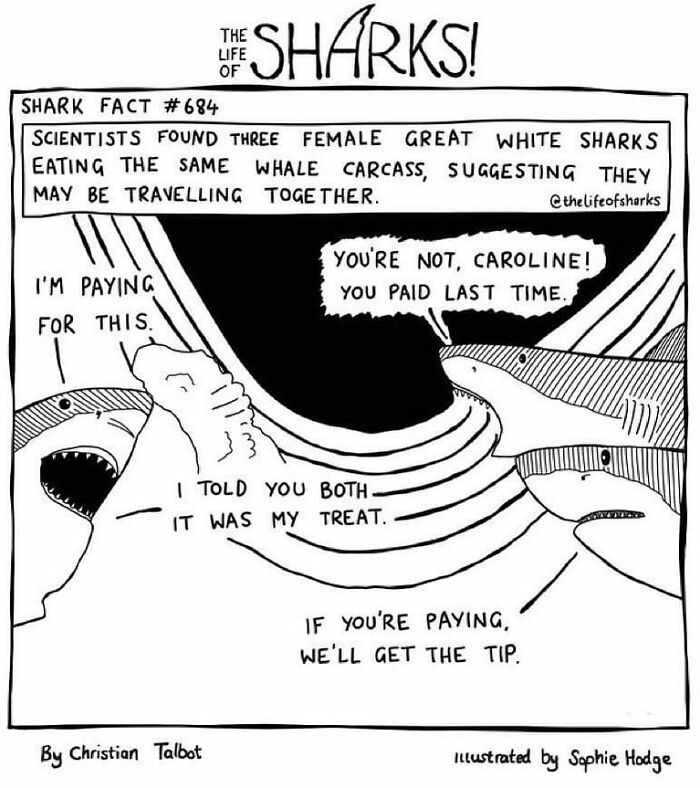 Artist Shows The Adventures Of Sharks And Their Interactions With Other Sea Creatures (New Pics)