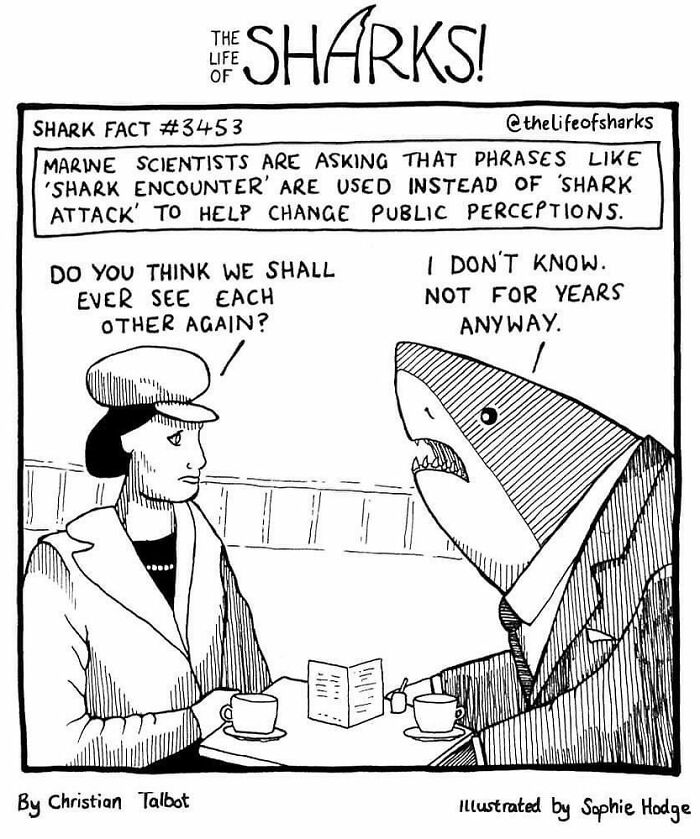 Artist Shows The Adventures Of Sharks And Their Interactions With Other Sea Creatures (New Pics)