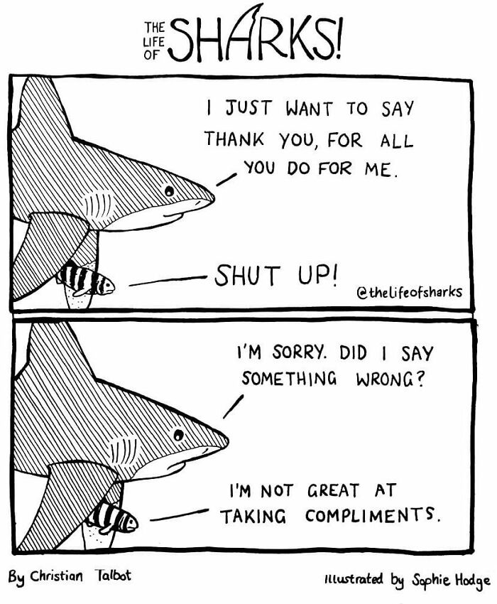 Artist Shows The Adventures Of Sharks And Their Interactions With Other Sea Creatures (New Pics)