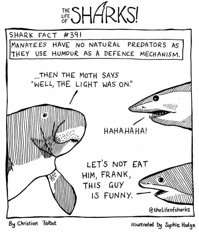 Artist Shows The Adventures Of Sharks And Their Interactions With Other Sea Creatures (New Pics)