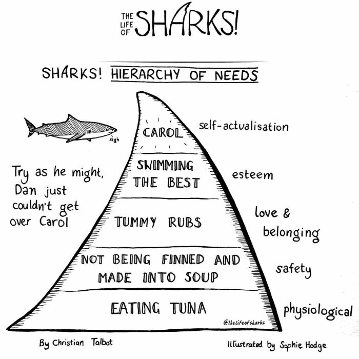 Artist Shows The Adventures Of Sharks And Their Interactions With Other Sea Creatures (New Pics)