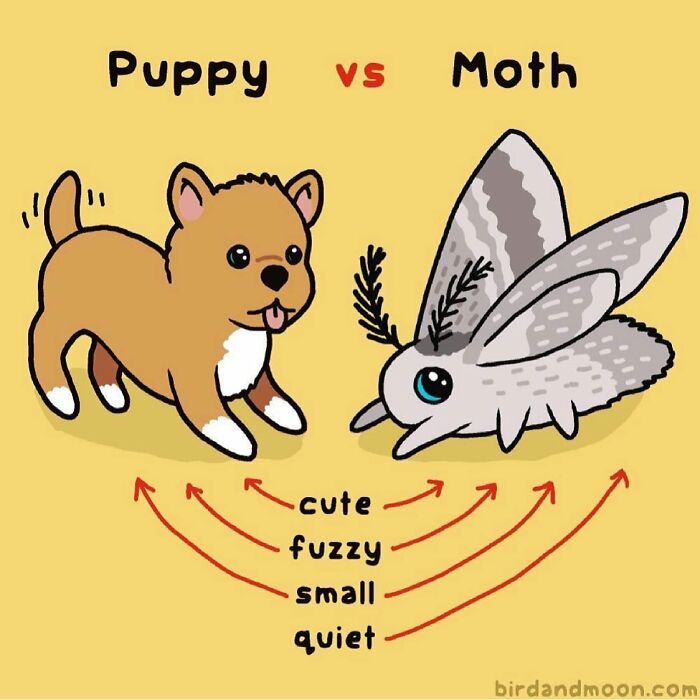 Artist Creates Comics That Generally Focus On Humorous Moments In Science And Nature