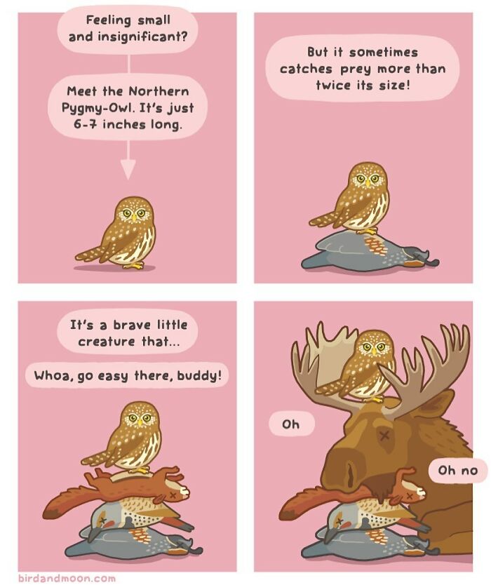 Artist Creates Comics That Generally Focus On Humorous Moments In Science And Nature