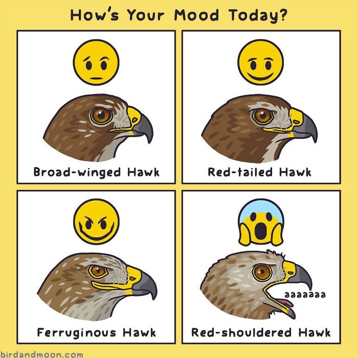 Artist Creates Comics That Generally Focus On Humorous Moments In Science And Nature