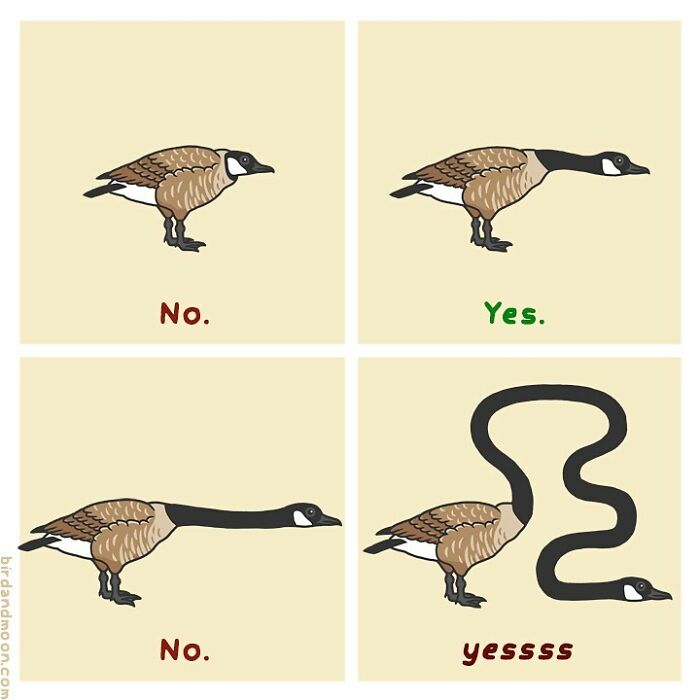 Artist Creates Comics That Generally Focus On Humorous Moments In Science And Nature