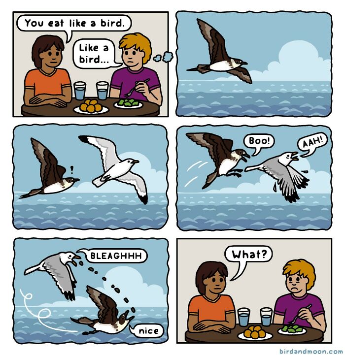 Artist Creates Comics That Generally Focus On Humorous Moments In Science And Nature