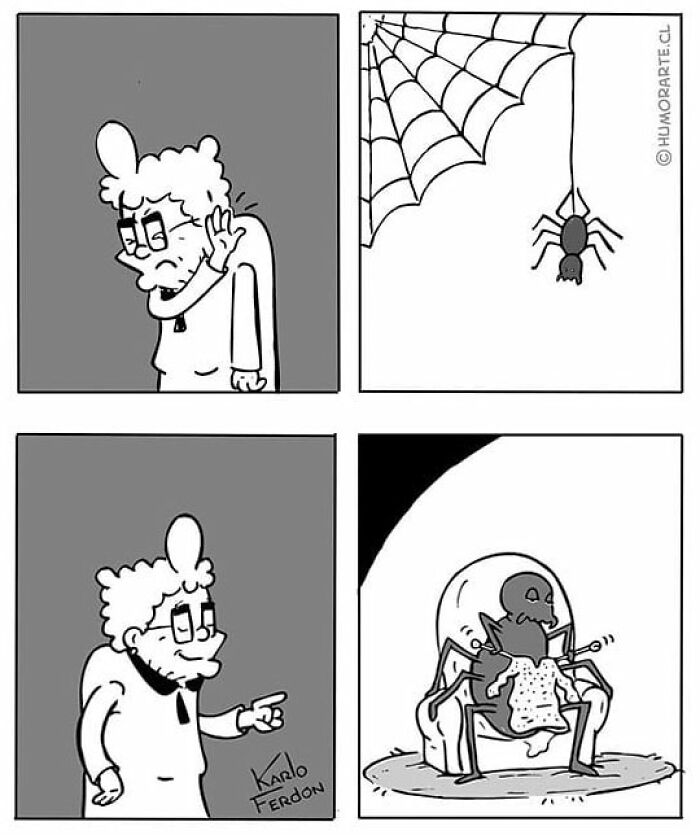 Spider Drake