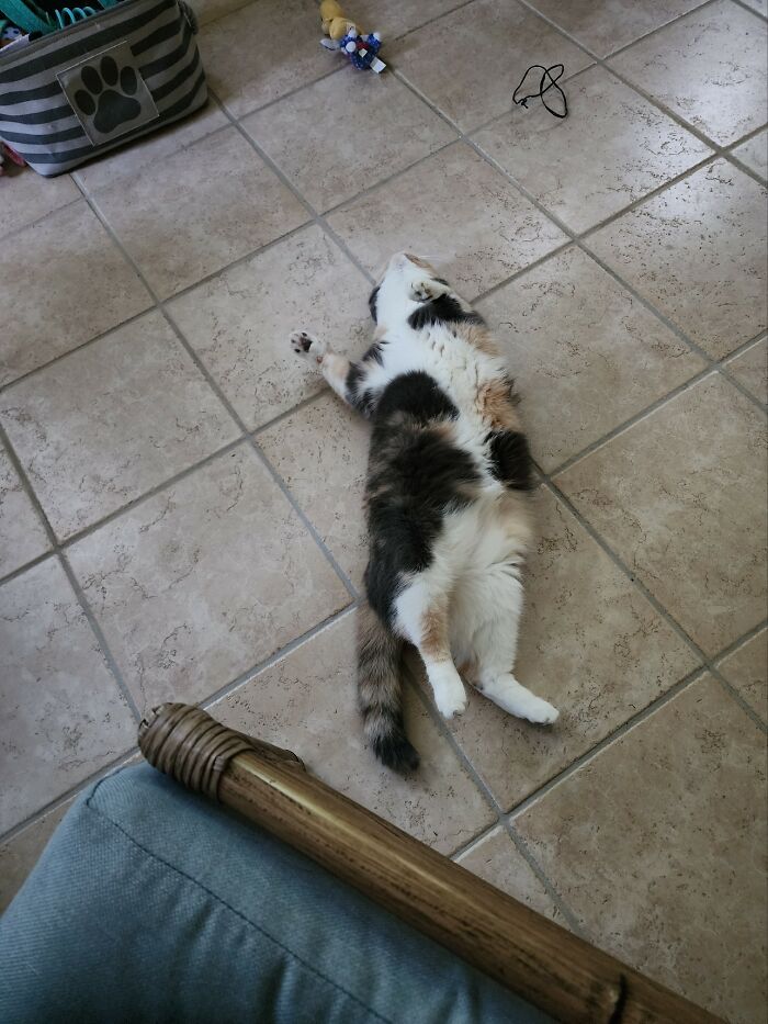 Tipsy - Naps Like This Are A Daily Occurrence