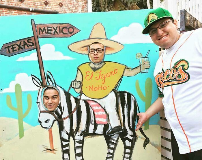 Always Wanted To Be A Zebra-Donkey