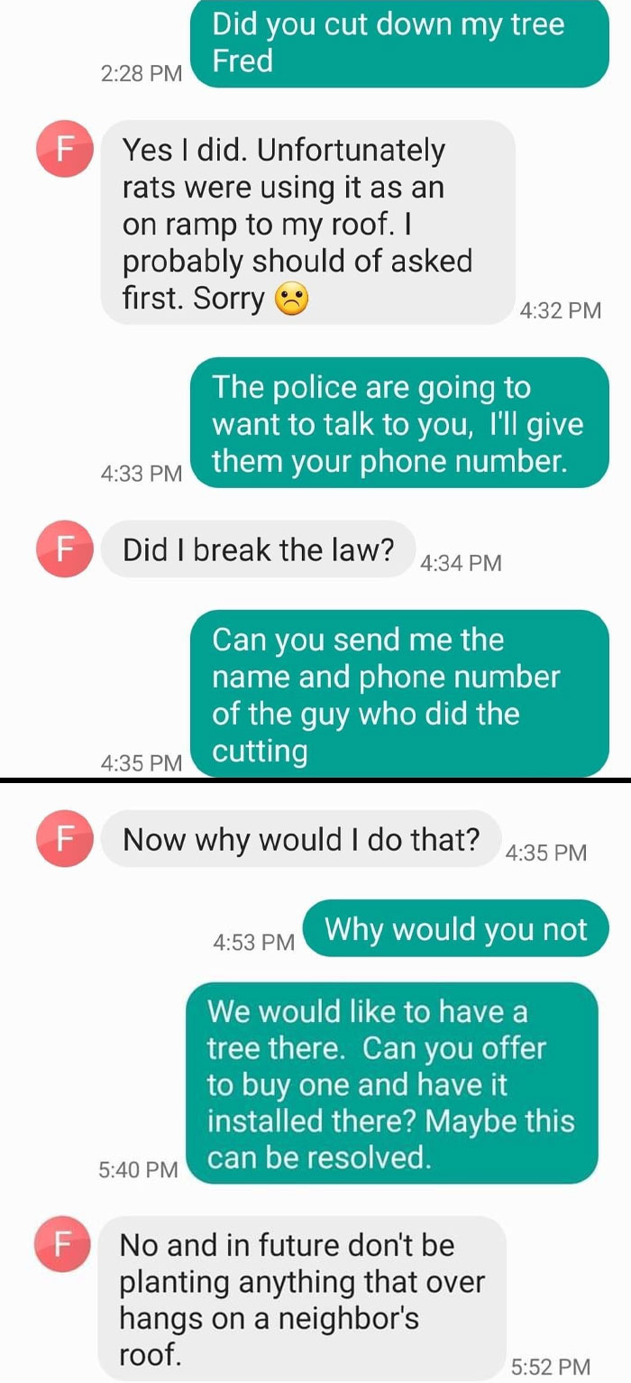 Neighbor Broke Into My Yard And Stole A 20-Foot Tree. It Had A Swing Hanging From It. The Swing Was Left On The Ground