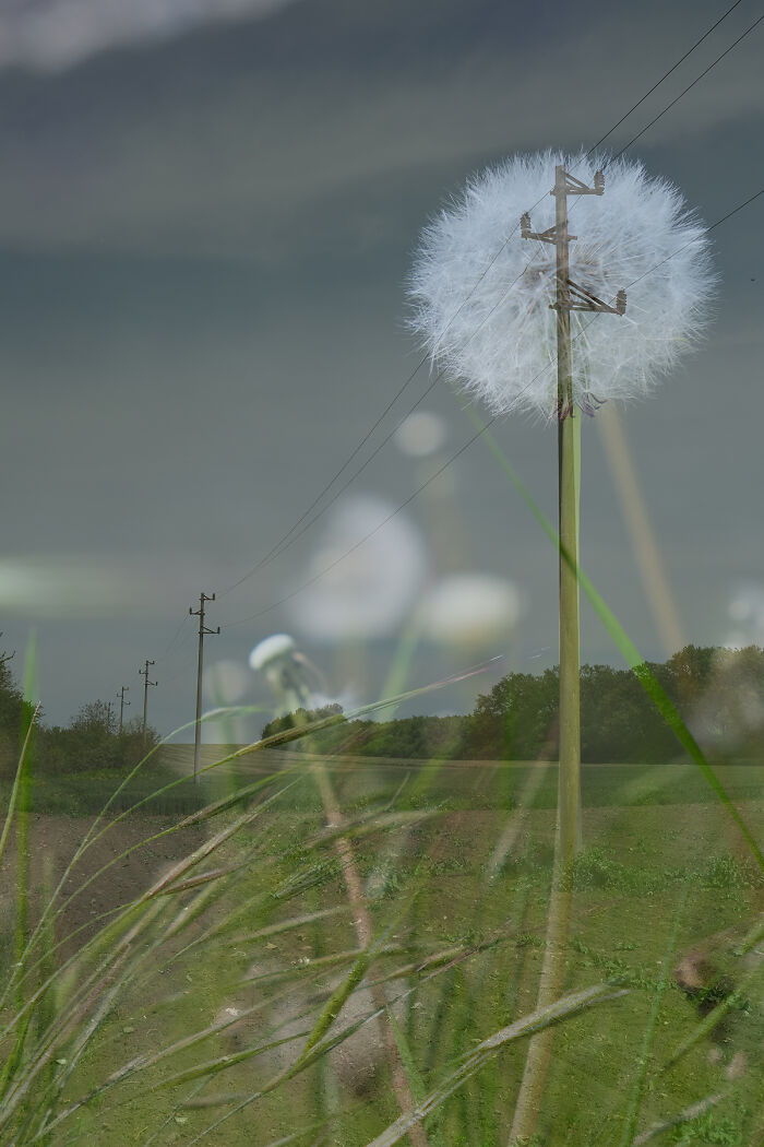 Double Exposure Photograph Showcasing Bulgaria's Beauty