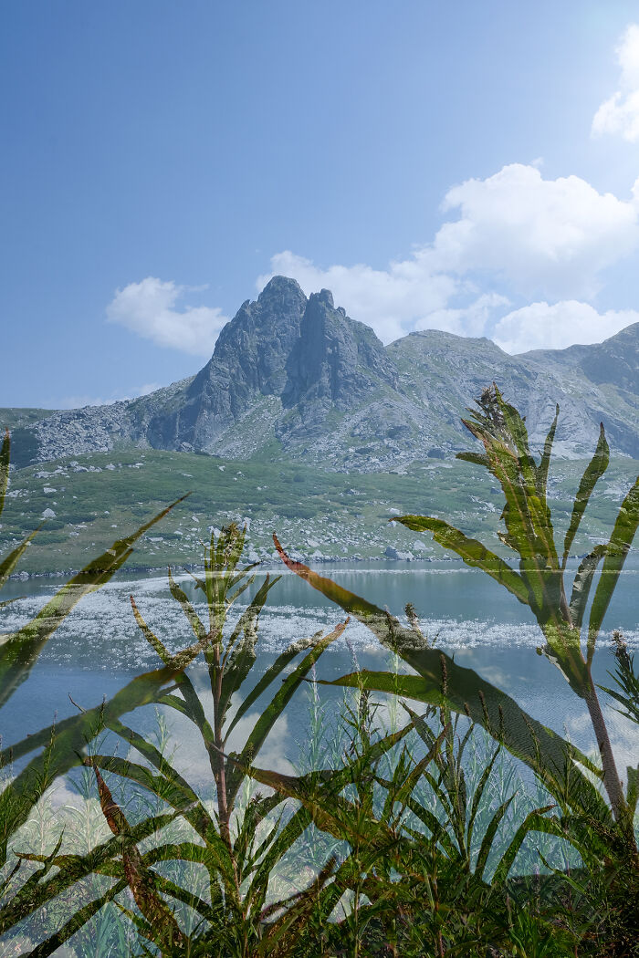 Double Exposure Photograph Showcasing Bulgaria's Beauty