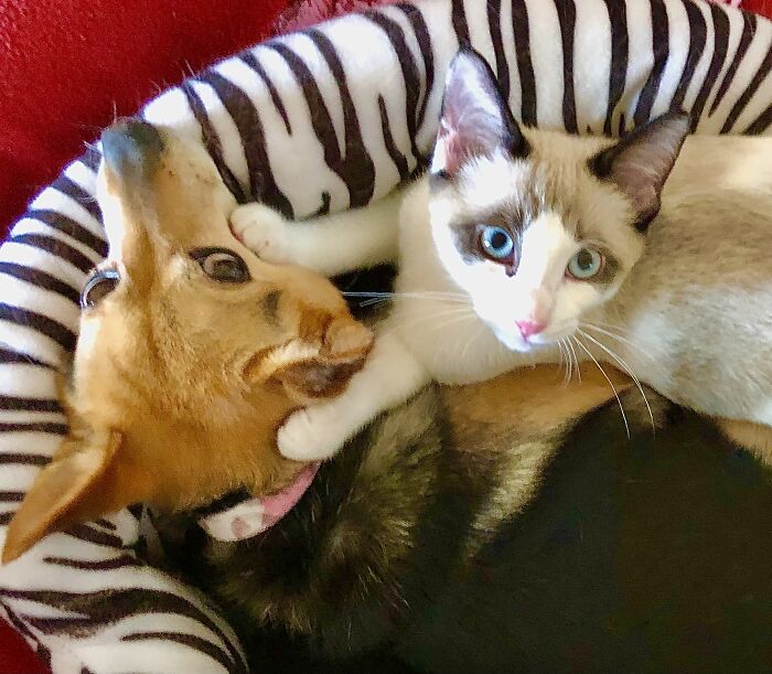 “Uh-Oh! They Found Our Weirdest Place!”